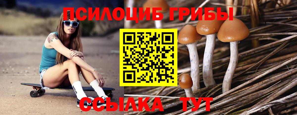 Галлюциногенные грибы мицелий Ангарск